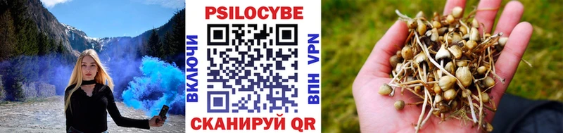 Галлюциногенные грибы GOLDEN TEACHER  Купить закладки  Снежногорск 